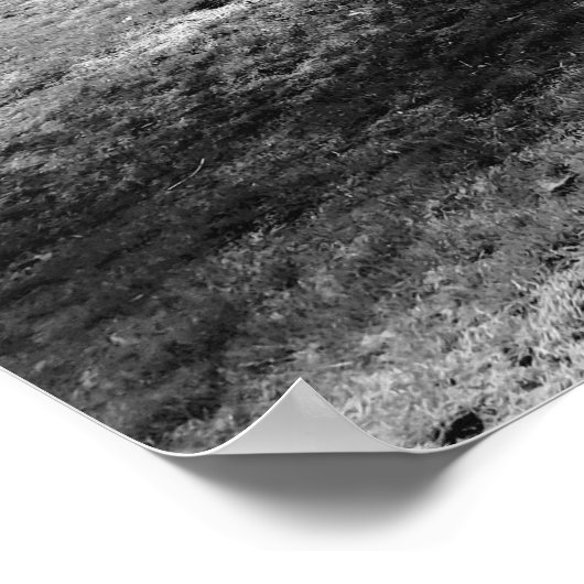 Der Weinbaum Poster (Ecke)