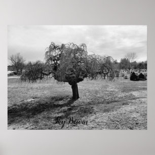 Der Weinbaum Poster