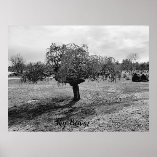 Der Weinbaum Poster (Vorne)