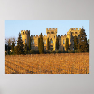 Der Weinberg mit den Syrah-Reben und dem Schloss Poster