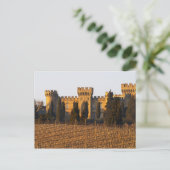 Der Weinberg mit den Syrah-Reben und dem Schloss Postkarte (Stehend Vorderseite)