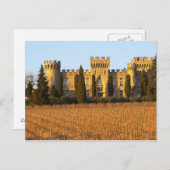 Der Weinberg mit den Syrah-Reben und dem Schloss Postkarte (Vorne/Hinten)