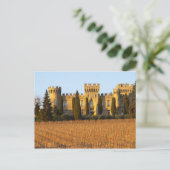 Der Weinberg mit den Syrah-Reben und dem Schloss Postkarte (Stehend Vorderseite)