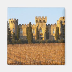 Der Weinberg mit syrah Reben und dem Chateau Magnet