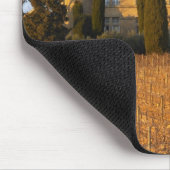 Der Weinberg mit syrah Reben und dem Chateau Mousepad (Ecke)