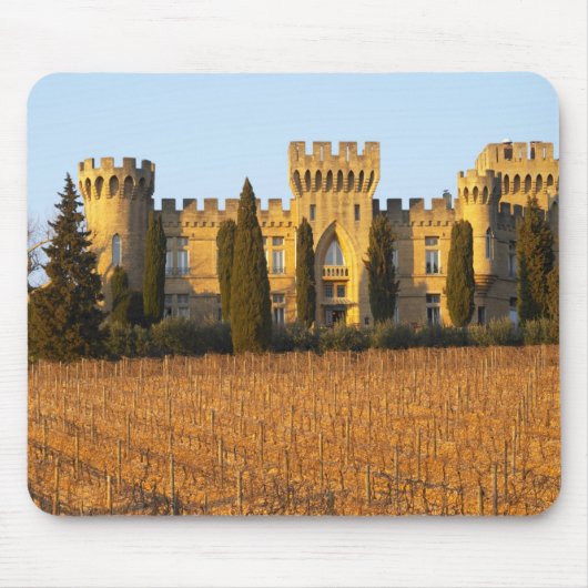 Der Weinberg mit syrah Reben und dem Chateau Mousepad (Vorne)