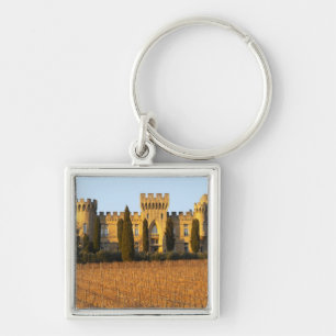 Der Weinberg mit syrah Reben und dem Chateau Schlüsselanhänger