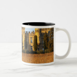 Der Weinberg mit syrah Reben und dem Chateau Zweifarbige Tasse