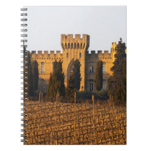 Der Weinberg mit Syrah-Reben und dem Schloss Notizblock