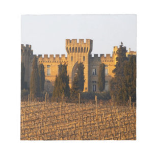 Der Weinberg mit Syrah-Reben und dem Schloss Notizblock