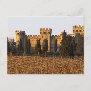 Der Weinberg mit Syrah-Reben und dem Schloss Postkarte