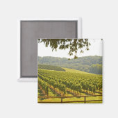 Der Weinberg und das Tal mit Wald - Magnet (Vorderseite/Rückseite)