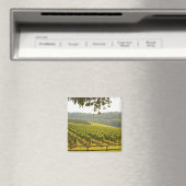 Der Weinberg und das Tal mit Wald - Magnet (In Situ (Geschirrspüler))