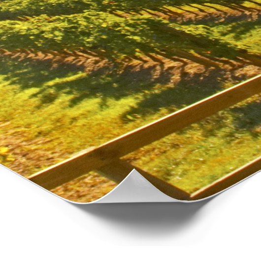 Der Weinberg und das Tal mit Wald - Poster (Ecke)