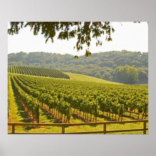 Der Weinberg und das Tal mit Wald - Poster (Vorne)