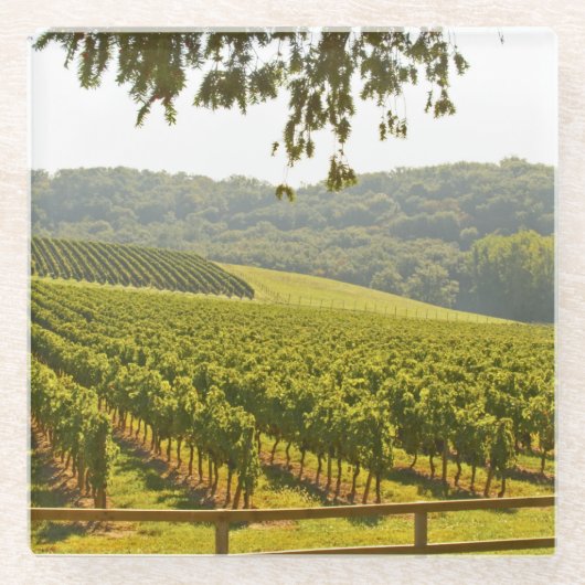 Der Weinberg und ein Tal mit einem Wald Glasuntersetzer (Vorderseite)