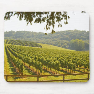Der Weinberg und ein Tal mit Wald - Mousepad