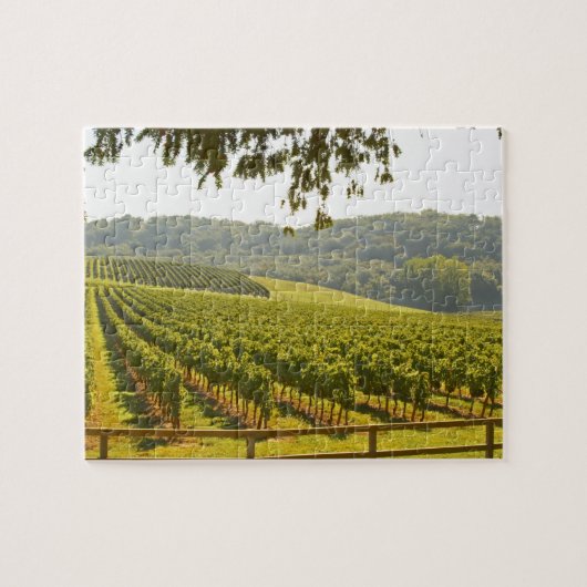 Der Weinberg und ein Tal mit Wald - Puzzle (Horizontal)
