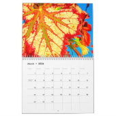 Der Weinkalender 2026 - Feuerwerk Kalender (Mär 2026)