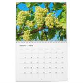 Der Weinkalender 2026 - Veni, Vidi, Vino Kalender (Jan 2026)