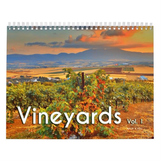 Der Weinwall-Kalender - Weinberge, Vol.1 Kalender (Titelbild)
