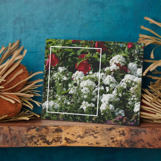 Der weiße Blumengarten Phlox ergänzt Ihr Foto Fotoplatte (Seite)