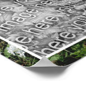 Der weiße Blumengarten Phlox fügt Ihr Foto hinzu Poster (Ecke)