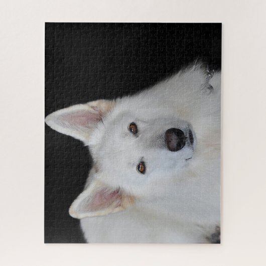 Der weiße deutsche Hirte Jigsaws. Puzzle (Vertikal)