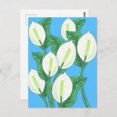 Der weiße Frieden liegt auf hellblauem Hintergrund Postkarte (Vorne/Hinten)