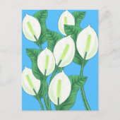 Der weiße Frieden liegt auf hellblauem Hintergrund Postkarte (Vorderseite)