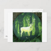 Der weiße Hart Postkarte (Vorne/Hinten)