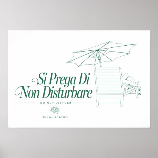 Der weiße Lotus stört nicht Poster (Vorne)