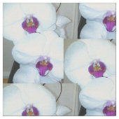 DER WEISSE ORCHID-Stoff Stoff (Nahaufnahme)