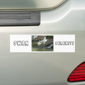 Der weiße Schwan Autoaufkleber (Auf Auto)