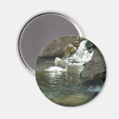 Der weiße Schwan Magnet (Vorderseite/Rückseite)