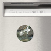 Der weiße Schwan Magnet (In Situ (Geschirrspüler))