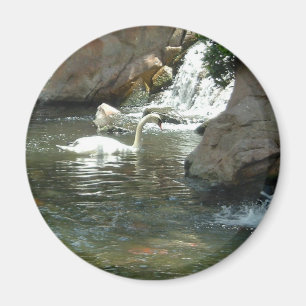 Der weiße Schwan Magnet