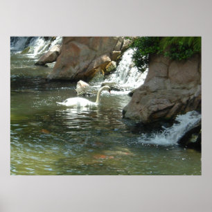 Der weiße Schwan Poster