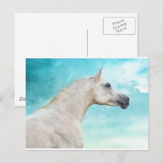 Der weiße Stallion Postkarte (Vorne/Hinten)