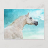 Der weiße Stallion Postkarte (Vorderseite)