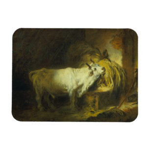 Der weiße Stier im stabilen (Öl auf Leinwand) Magnet