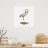 Der Weißkreuzer Heron (Ardea candidissima) Poster (Küche)