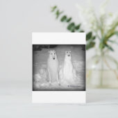 Der weltberühmte Mychtar und Snowdog ! :) Postkarte (Stehend Vorderseite)