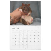Der Weltkalender des Rates Kalender (Mär 2027)