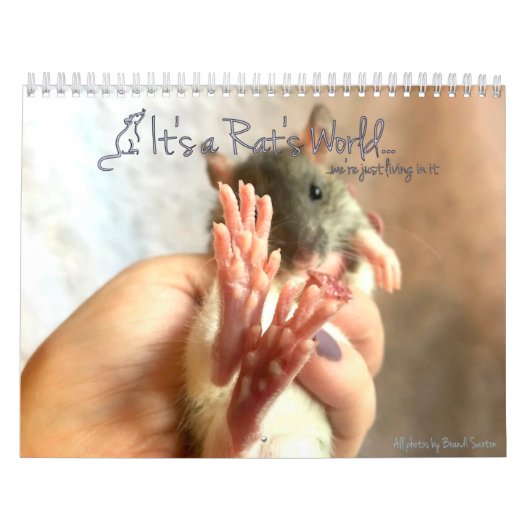 Der Weltkalender des Rates Kalender (Titelbild)
