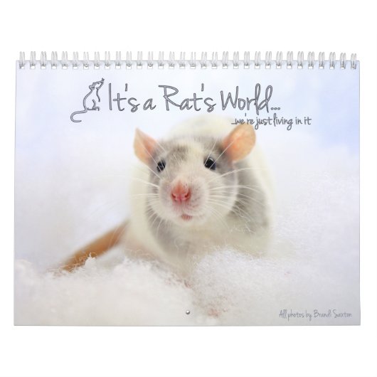 Der Weltkalender des Rates Kalender (Titelbild)