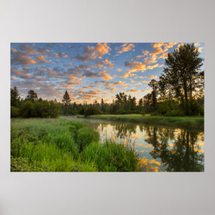 Der Whitefish River mit schönen Sonnenaufgangswol Poster