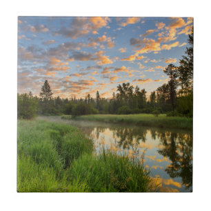 Der Whitefish River mit schönen Sonnenaufgangswolk Fliese