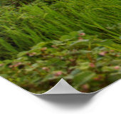 Der Whitefish River mit schönen Sonnenaufgangswolk Poster (Ecke)