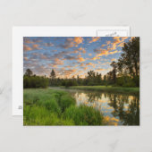 Der Whitefish River mit schönen Sonnenaufgangswolk Postkarte (Vorne/Hinten)